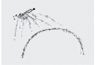 catastrofi_imm_1.psd